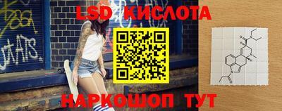 крисы Партизанск