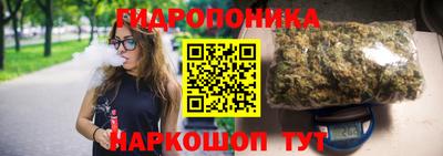 стафф Пенза