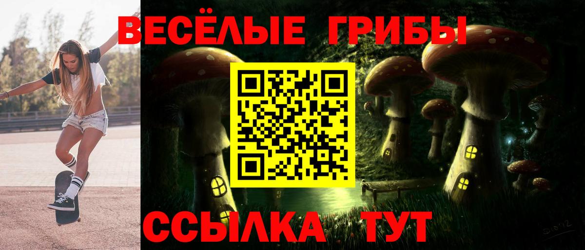 Псилоцибиновые грибы прущие грибы  Псилоцибиновые грибы MAGIC MUSHROOMS  Серов  Вход с VPN 