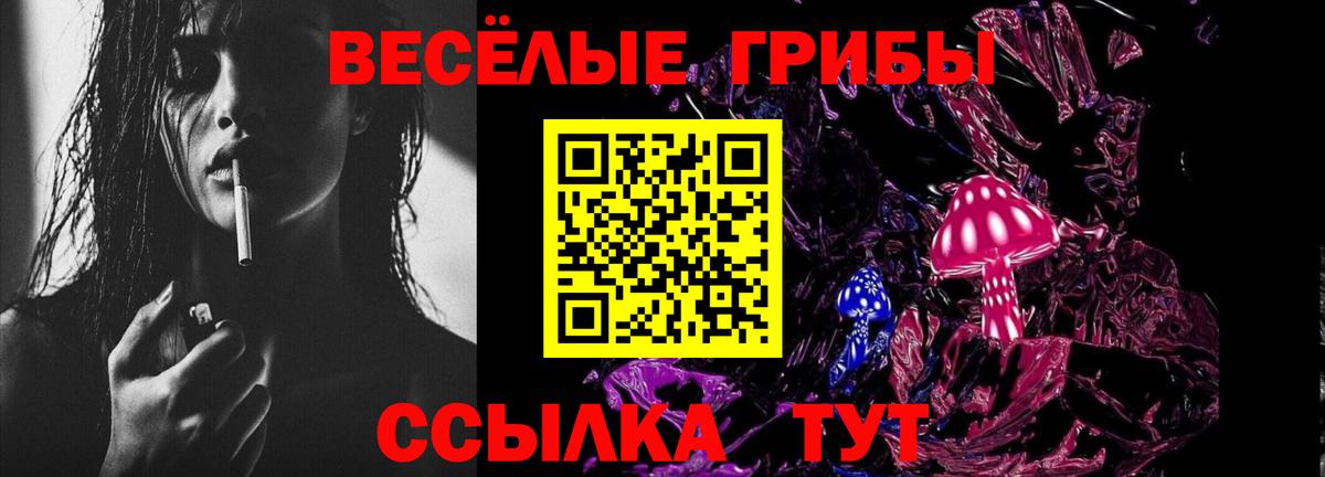Псилоцибиновые грибы Psilocybe Серов